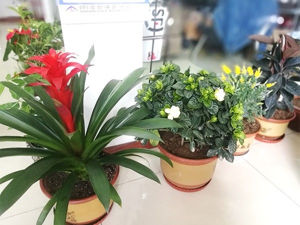 【栽花季】格誠經(jīng)緯齊上陣，培土育花把春忙