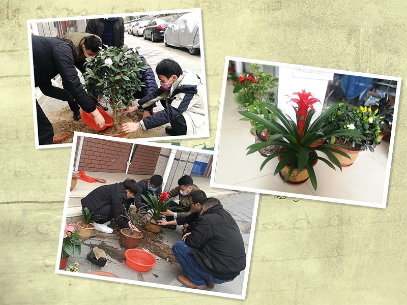 格誠經(jīng)緯栽花季1